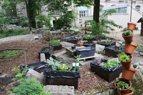 Ein Garten