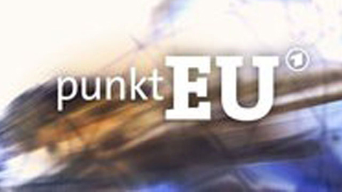 Schriftzug "punktEU"