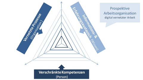 Schaubild Arbeitsorganisation