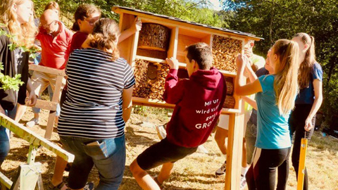 Mehrere Personen stellen ein Bienenhaus auf