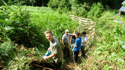 Jugendliche bauen einen Zaun