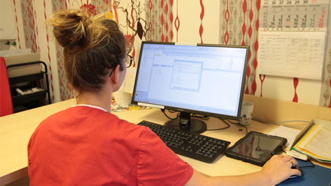 Eine Frau am PC