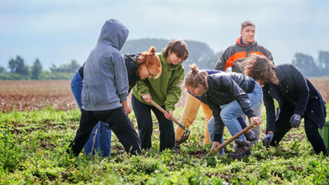Arbeiten auf dem Feld