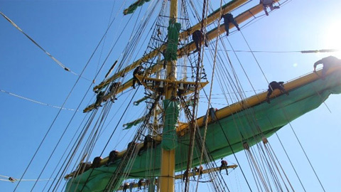 Segelmast