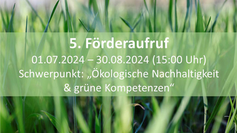 5. Förderaufruf rückenwind³