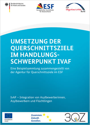 Umsetzung der Querschnittsziele im Handlungsschwerpunkt IvAF