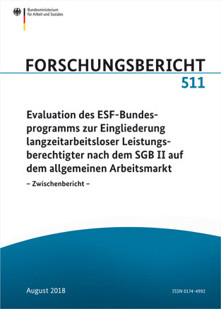 Evaluation des Programms zum Abbau von Langzeitarbeitslosigkeit